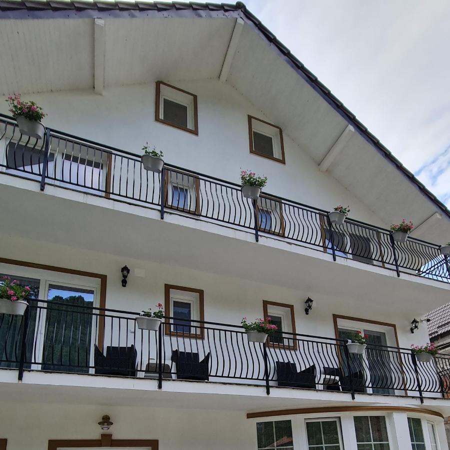 Casa Anne Hotel Baile Herculane Luaran gambar